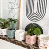 DIY Box - Terrazzo Planter FIORE  5,5cm - Image 5